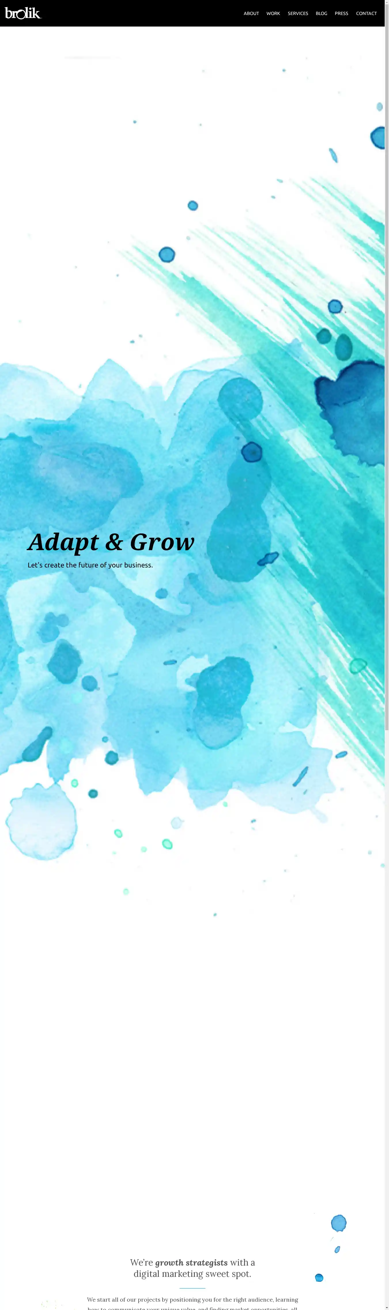 Desktop Screenshot for brolik.com