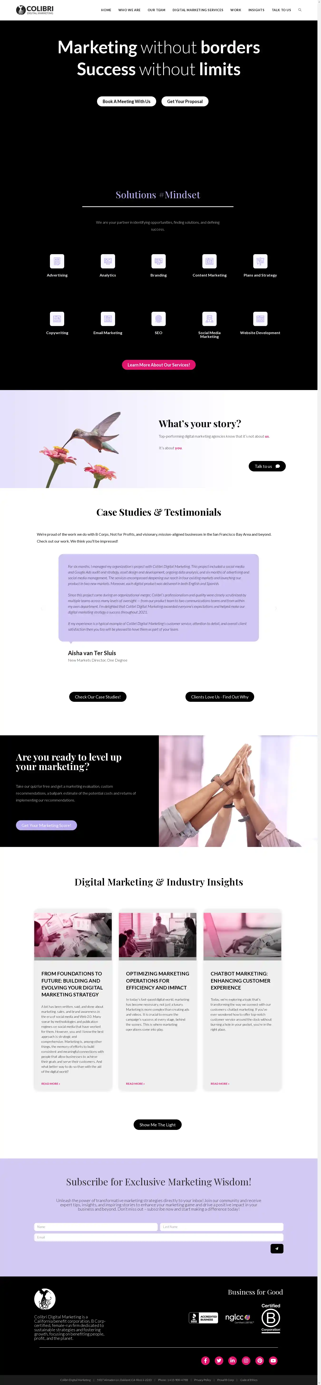 Desktop Screenshot for colibridigitalmarketing.com