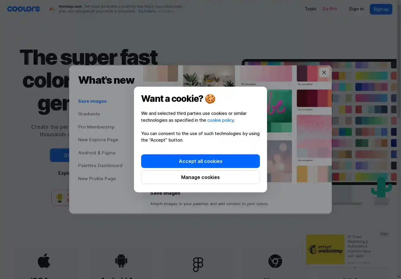 Desktop Screenshot for coolors.co
