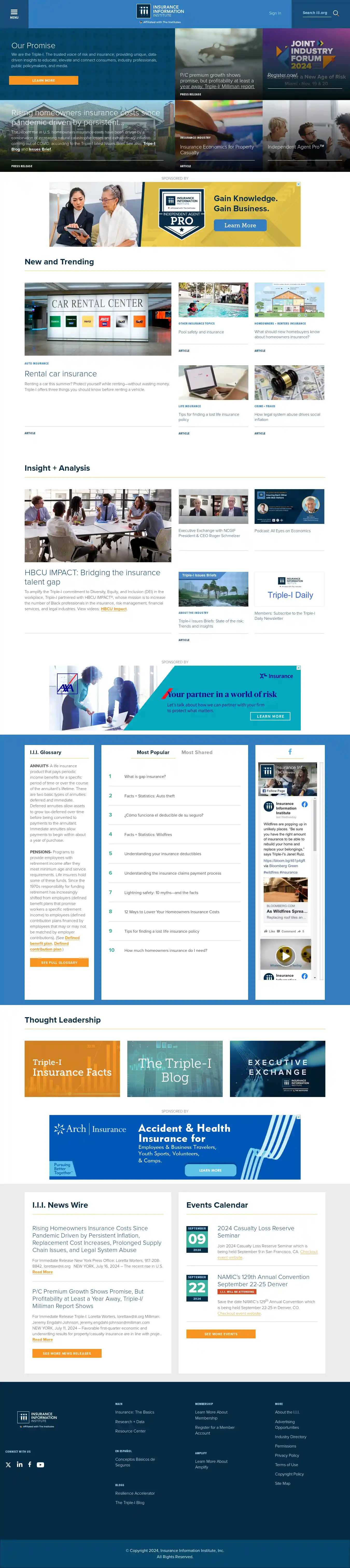 Desktop Screenshot for iii.org