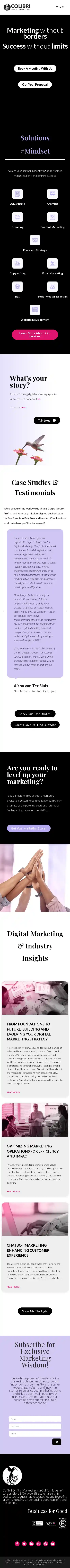 Mobile Screenshot for colibridigitalmarketing.com
